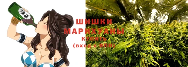 молекула духа Сясьстрой