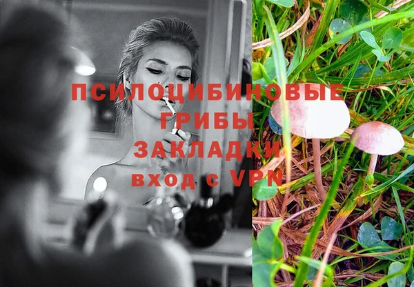 каннабис Белокуриха