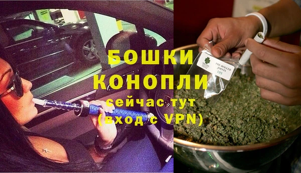 каннабис Белокуриха